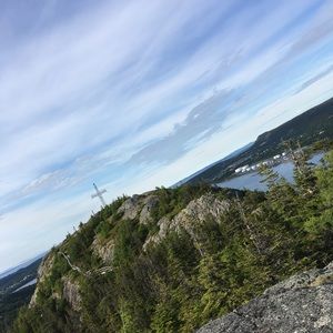 Meet your Posher, Tyson